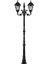 Siyah Süslü Direk 1220 1