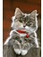 Kaymaz Taban Yıkanabilir Kedi Desenli Dijital Baskılı Halı 1