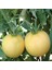İdeasepet Natural Peach Şeftali Domates Tohumu (20 Tohum) 1