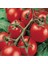 İdeasepet Natural Doğal Porter Salkım Domates Tohumu (20 Tohum) 1