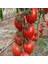 İdeasepet New Hybrid Bt 11-20 Sırık Domates Tohumu (20 Tohum) 1
