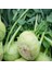 İdeasepet Naturel Green Kohlrabi (Alabaş)Tohumu (25 Tohum) 1