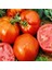 İdeasepet Natural Doğal Homestead Domates Tohumu (20 Tohum) 1