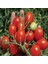 İdeasepet Natural Doğal Riesentraube Salkım Domates Tohumu (20 Tohum) 1
