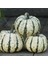 İdeasepet Arcanum Sweet Dumpling Tohumu (6 Tohum) 1