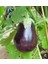 İdeasepet Naturel Topak Patlıcan Tohumu (20 Tohum) 1