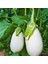 İdeasepet Naturel Casper Beyaz Patlıcan Tohumu (10 Tohum) 1