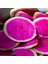 İdeasepet Naturel Renkli Watermelon Turp Tohumu (50 Tohum) 1