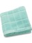 Hsgl Tupperware Mikrofiber Kurulama Bezi ( Yeşil ) 1