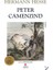 Peter Camenzind - Hermann Hesse 1