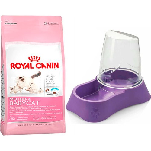 Royal Canin Mother &amp; Baby Yavru Kedi Maması 2 kg + Evohe Fiyatı