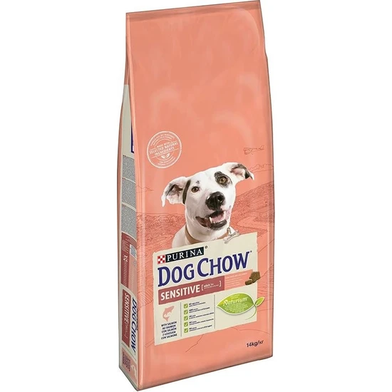 Dog Chow Hassas Köpekler için Somonlu Yetişkin Köpek Maması 14kg