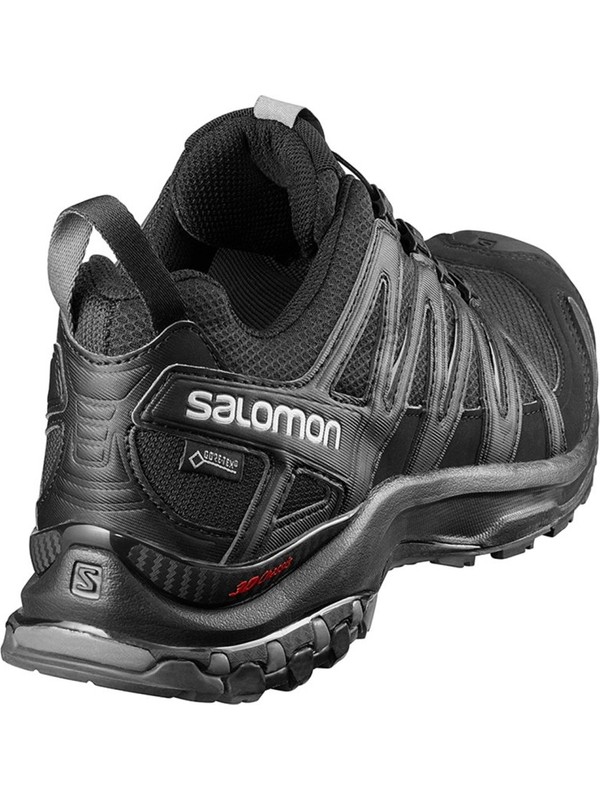 salomon x4 pro 3d