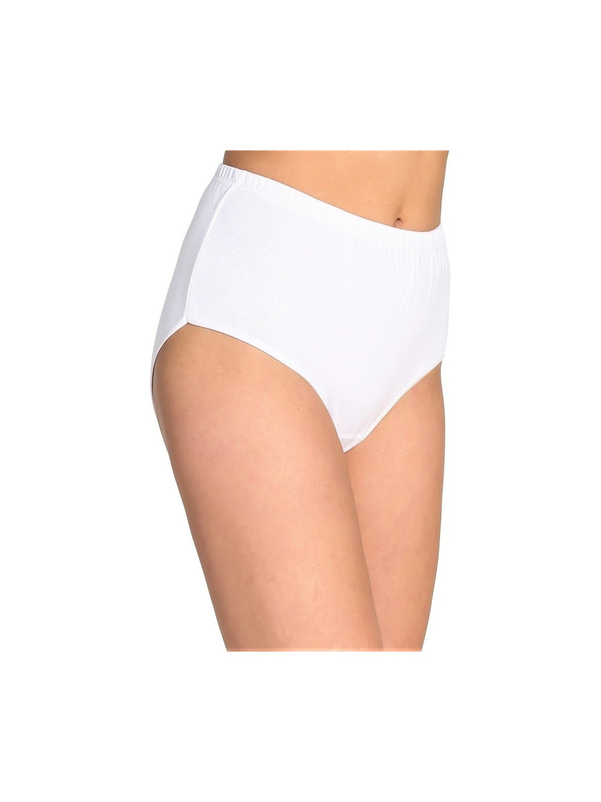 Tutku Bayan 6 Lı Paket 922 Pamuklu Yüksek Bel Ribana Bato Külot - Görsel 3