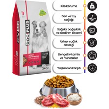 Dog Plus Düşük Tahıllı Hipoalerjenik Kuzu Etli Pirinçli Yetişkin Köpek Maması 3 kg