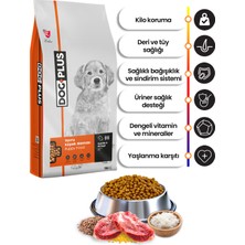 Dog Plus Kuzu Etli Pirinçli Yavru Köpek Maması 15 kg