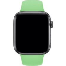 Basias Apple Watch 1.2.3.4.5.6 Nesil Uyumlu 38 / 40 / 41 mm Uyumlu Spor Silikon Kordon