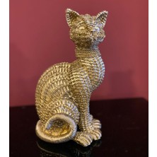 By Ari Kedi Biblo -HF316-1