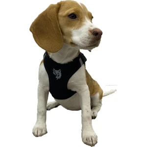 Att Stil Tekstil Köpek Göğüs Tasması