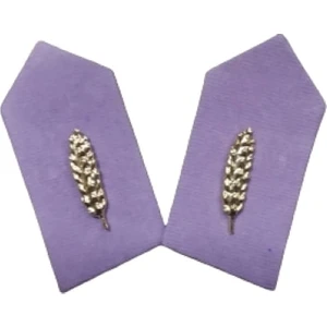 Kara Kuvvetleri Lila Renk Ikmal Astsubay Harici Yaka Spolet Arma