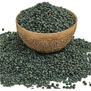  Menengiç (Çitlenbik,çıtlık,çedene,bıttım) ( 500 gr )
