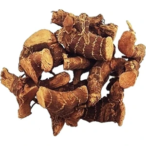 Havlıcan Kök (100 Gr)