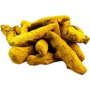 Zerdeçal Kök (100 Gr)