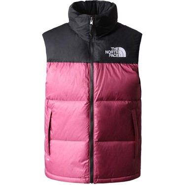 Veste north face retro 1996 sale