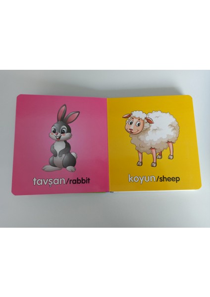 2 Yaş Etkinlik Setim