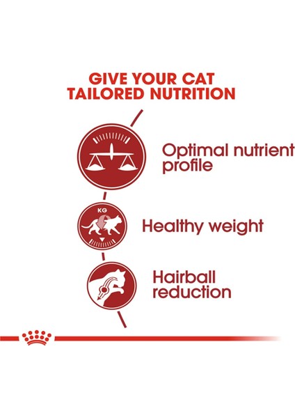 Fit 32 Yetişkin Kuru Kedi Maması 2 kg modelleri