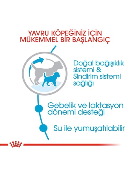 Mini Starter Yavru&anne Köpek Maması 3 kg fırsatları