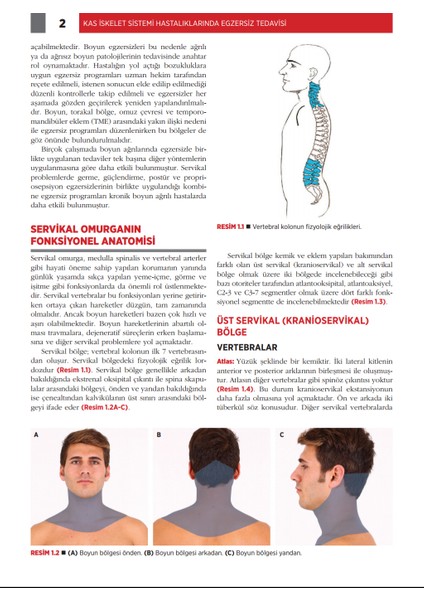 Kas Iskelet Sistemi Hastalıklarında Egzersiz Tedavisi