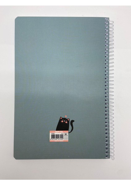 Post-Book Spiralli Karton Kapak 17X24 80 Yaprak Kareli Defter