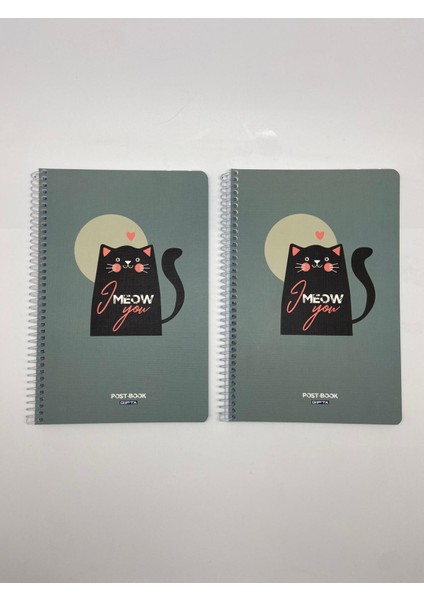 Post-Book Spiralli Karton Kapak 17X24 80 Yaprak Kareli Defter 2'li