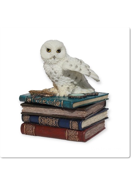 Dekoratif Baykuş Mücevher Takı Kutusu