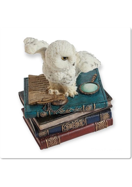 Dekoratif Baykuş Mücevher Takı Kutusu fiyatları