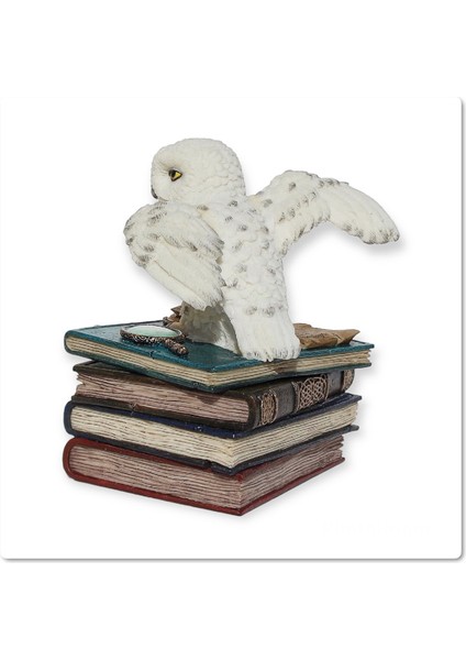 Dekoratif Baykuş Mücevher Takı Kutusu indirimleri