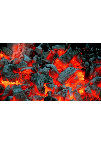 Şile Mangal Kömürü 10KG modelleri