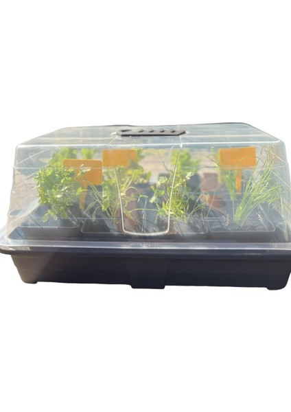 Fide Yetiştirme Seti fiyatları