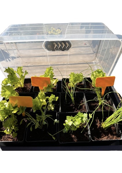 Fide Yetiştirme Seti modelleri