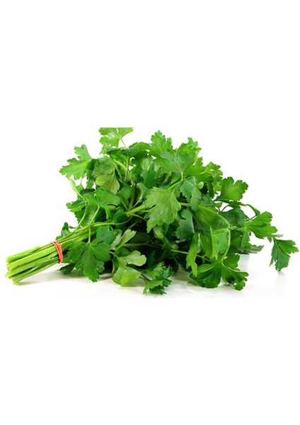 Maydanoz Tohumu 25 gr