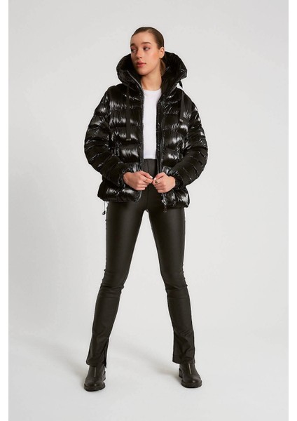 D89685 Robin Mont modelleri