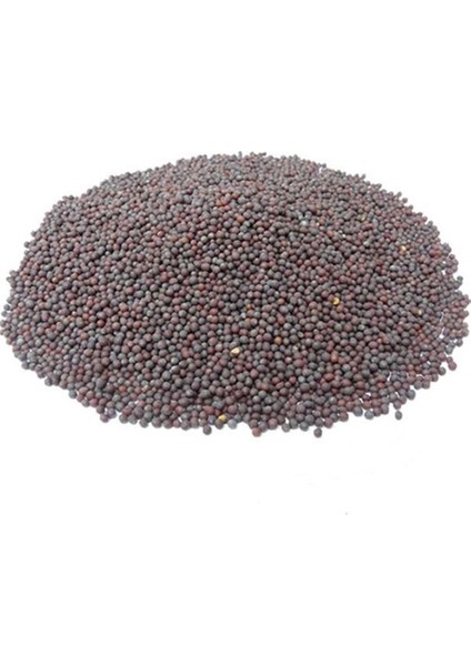 Siyah-Mavi Hardal Tohumu 100 gr