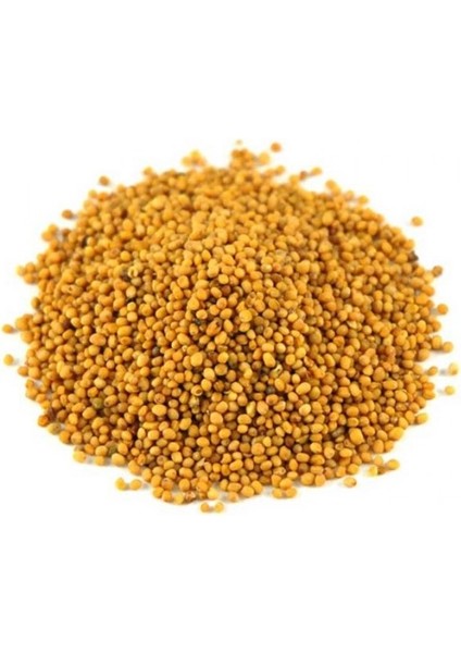 Sarı Hardal Tohumu 100 gr
