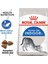 Indoor Evde Yaşayan Yetişkin Kedi Maması 2 kg 2