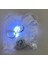 Peri LED 1 Metre Pakette 10 Adet Toplam 10 Metre 4