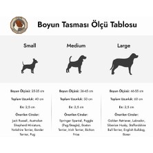 Ca-Leather Dex - Deri Köpek Tasması