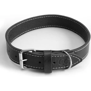 Dex - Deri Köpek Tasması