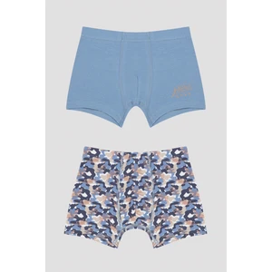 Çok Renkli Erkek Çocuk B. Trex 2li Boxer
