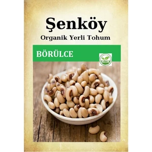 Yerli Karagöz Börülce Tohumu Doğal Ata Tohum Pakette 25 Gr 175 Tohum + Sebze Tohumu